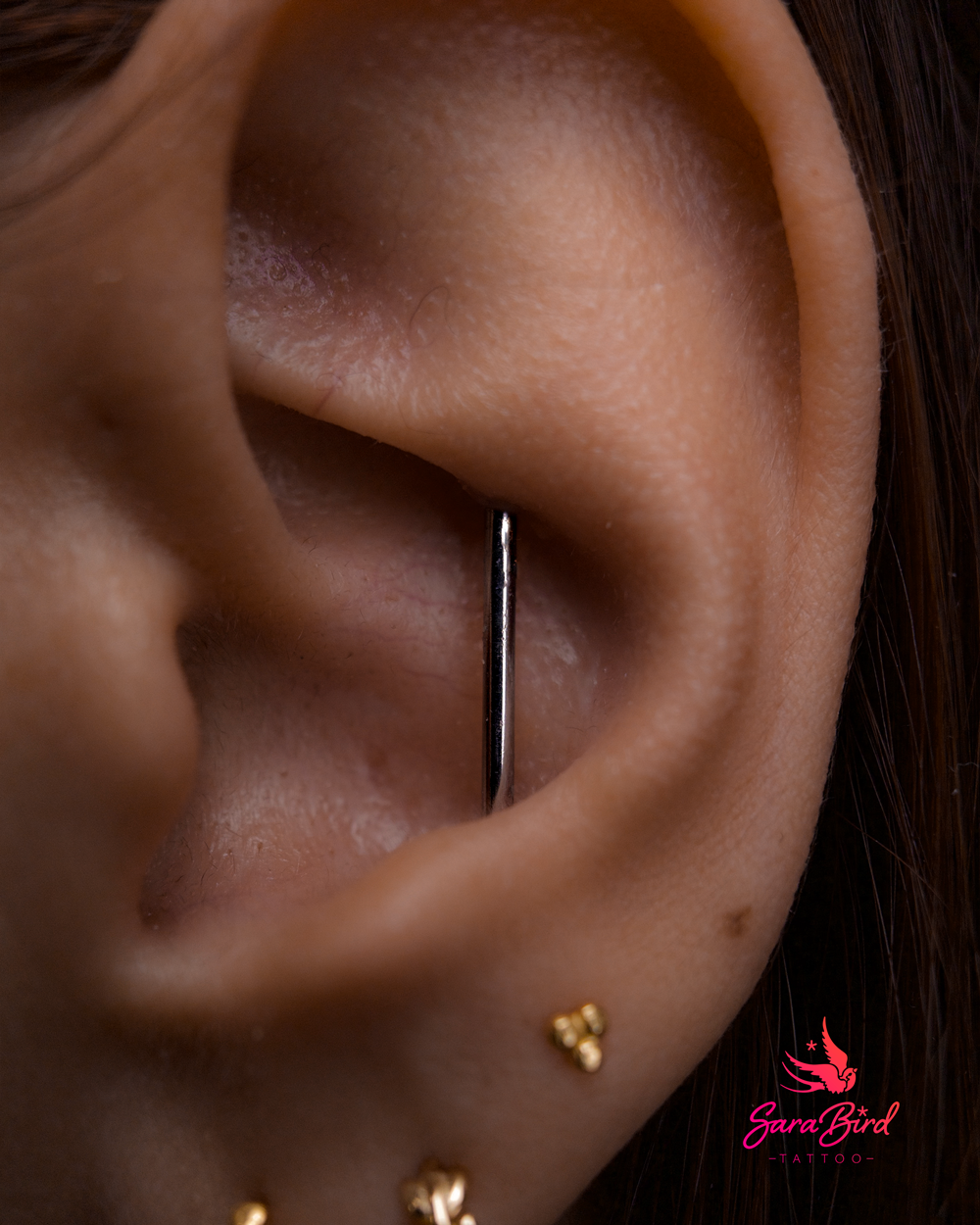 Ear Piercing With Titanium Jewelry - Multiple Zones