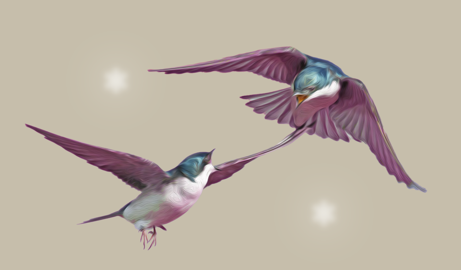 duas andorinhas a voar, olhando entre si e com duas estrelas ao fundo