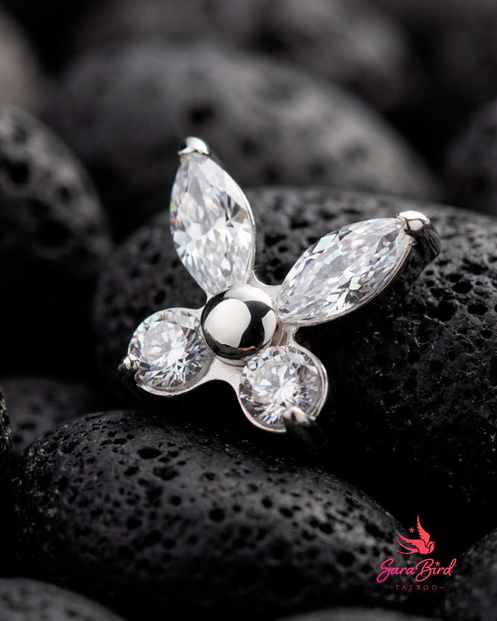 Topo Papillon