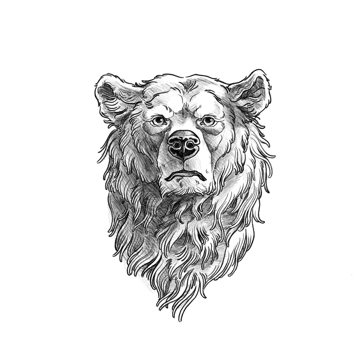 PAGU - Oso - Diseños listos para tatuar