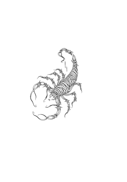 Escorpião Arame-Farpado Ema