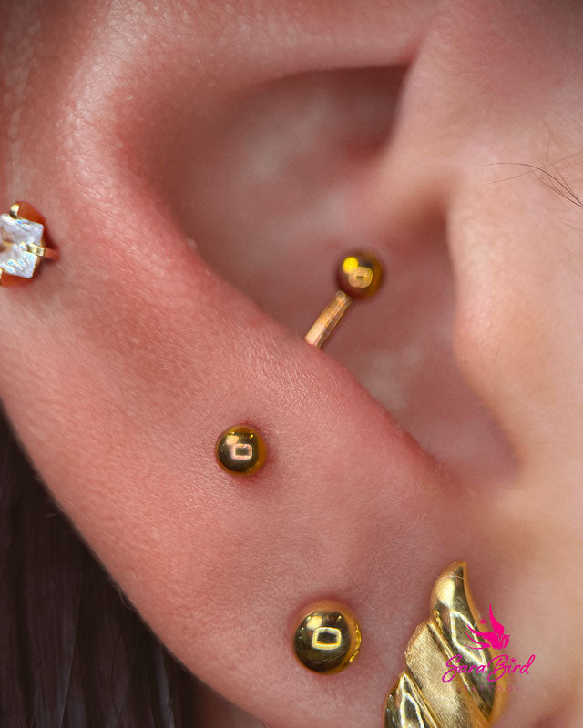 Ear Piercing With Titanium Jewelry - Multiple Zones