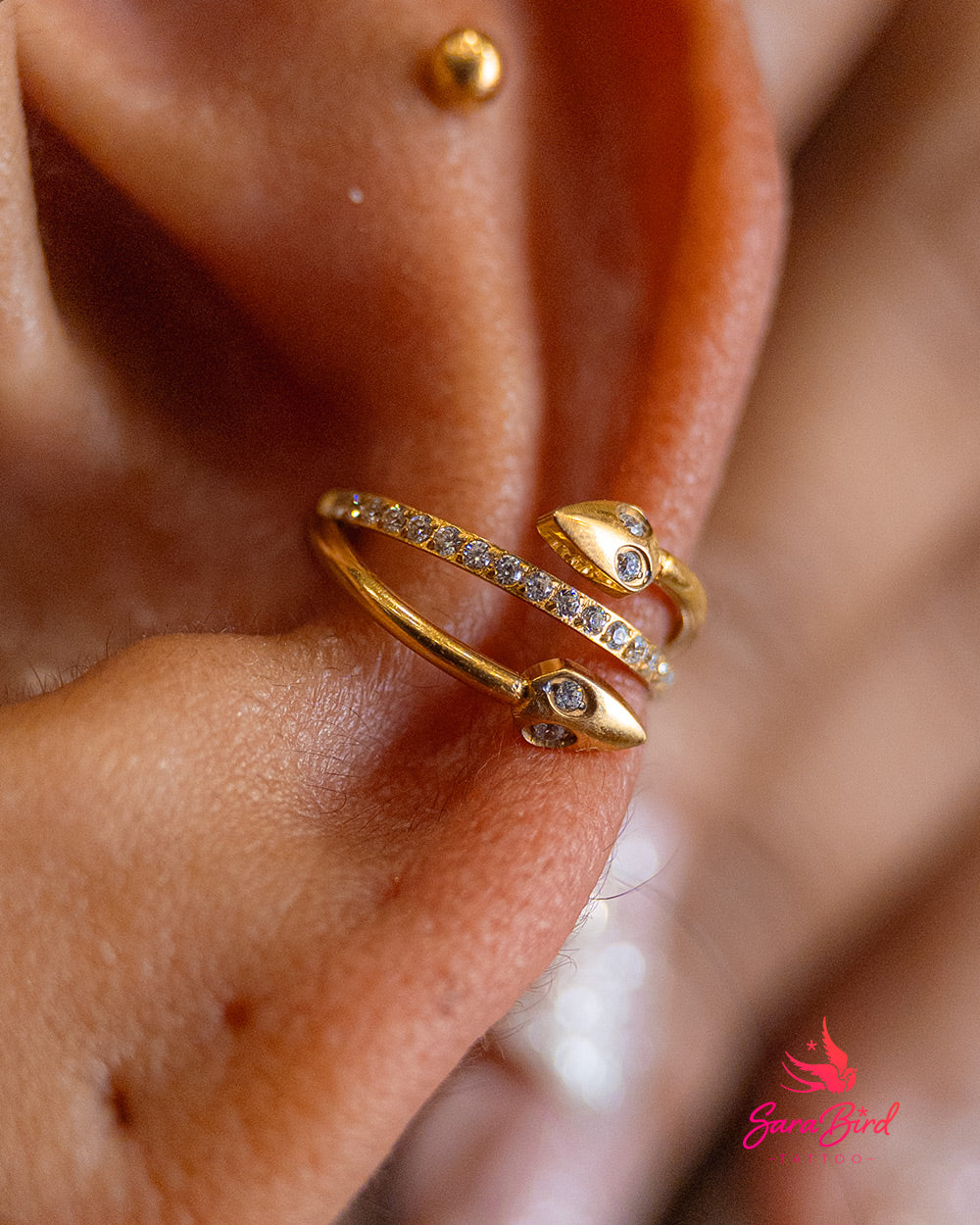 Argola Clicker em Titânio PVD Gold com Serpentes e Zircónias