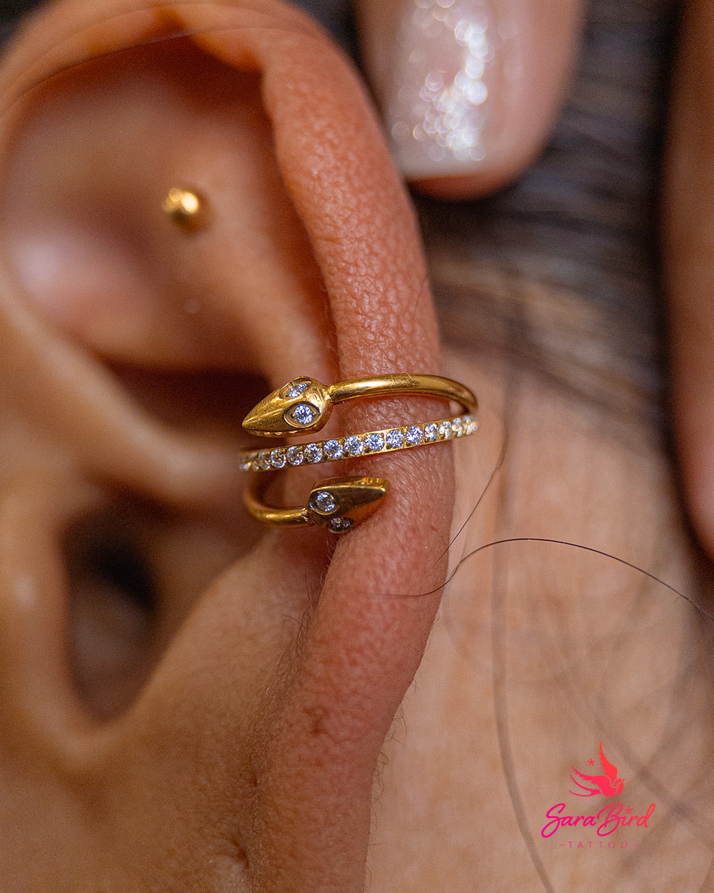 Argola Clicker em Titânio PVD Gold com Serpentes e Zircónias