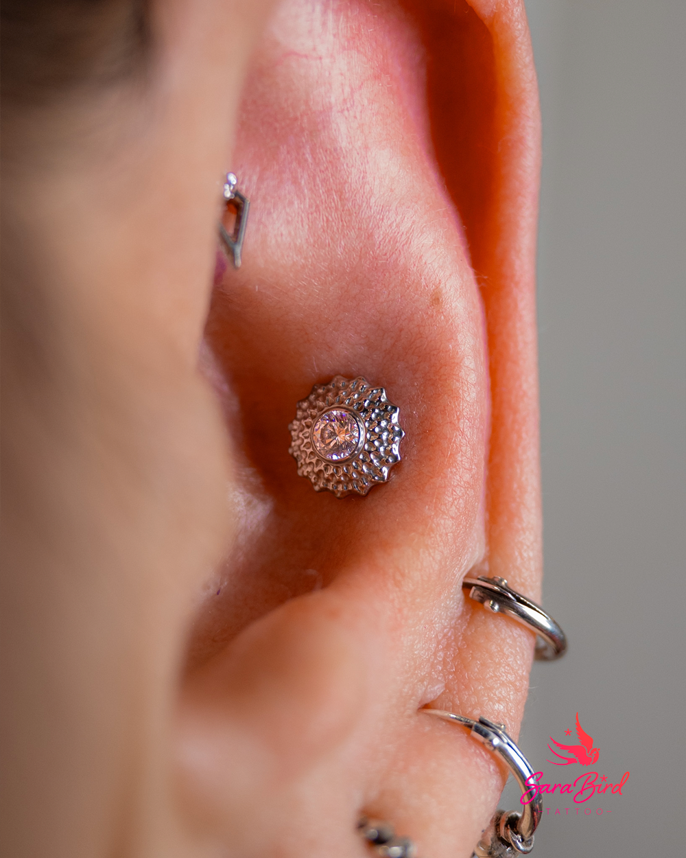 Ear Piercing With Titanium Jewelry - Multiple Zones