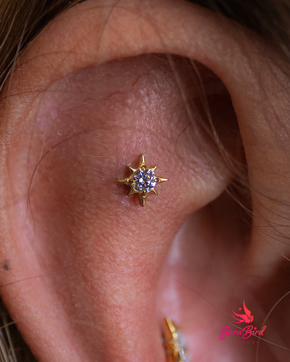 Ear Piercing With Titanium Jewelry - Multiple Zones