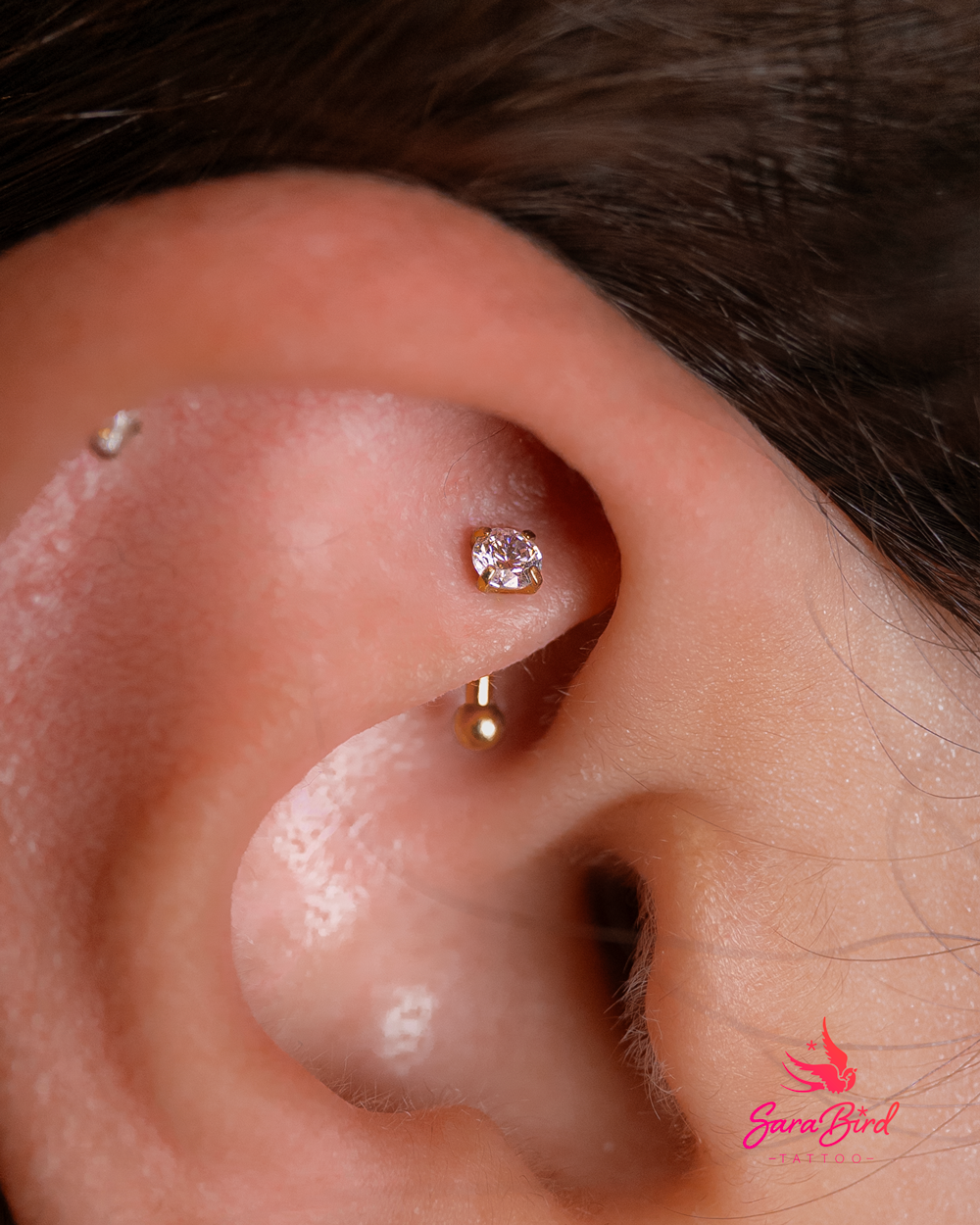 Ear Piercing With Titanium Jewelry - Multiple Zones