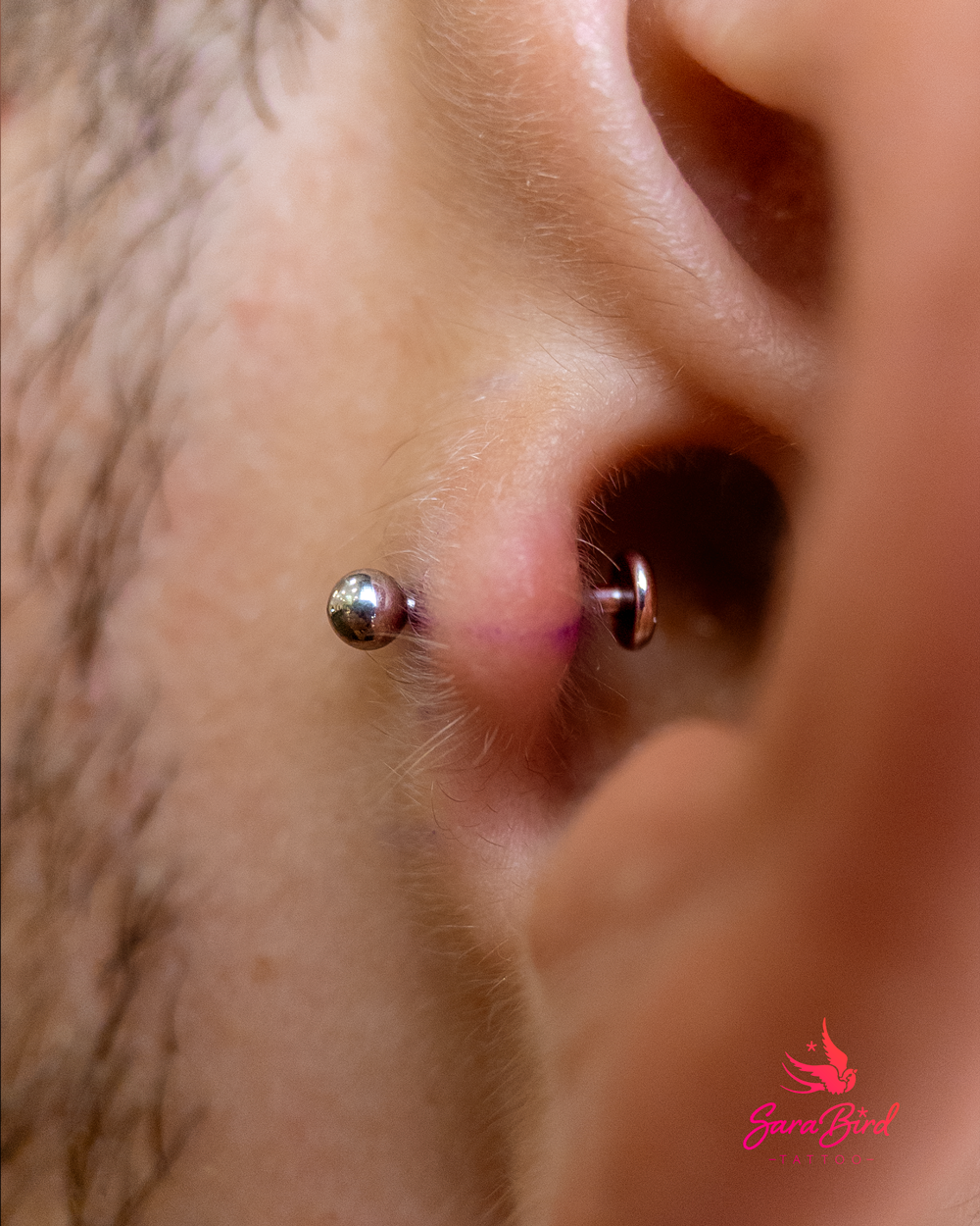 Ear Piercing With Titanium Jewelry - Multiple Zones