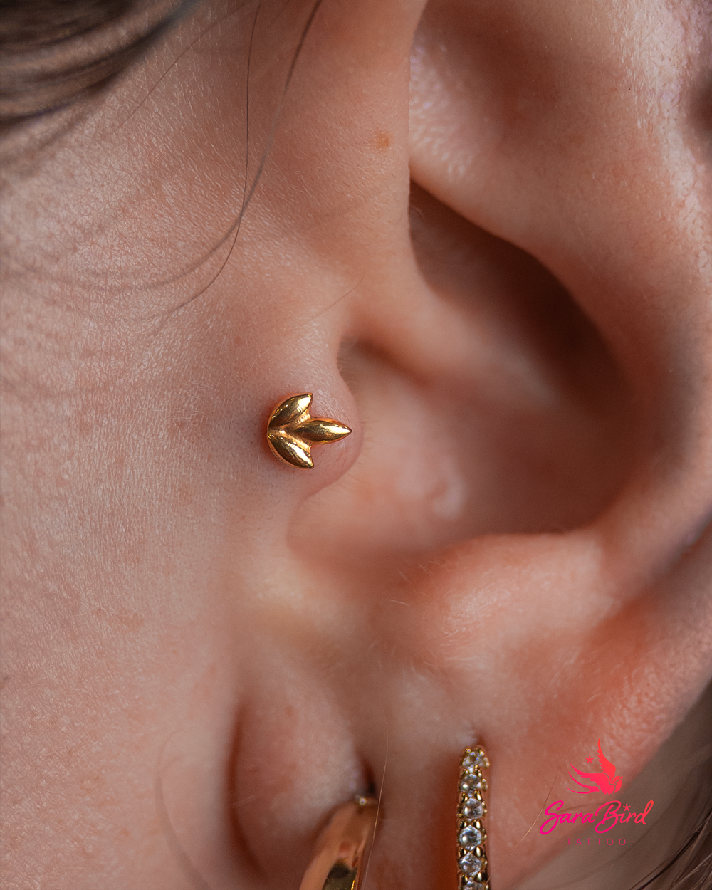 Ear Piercing With Titanium Jewelry - Multiple Zones