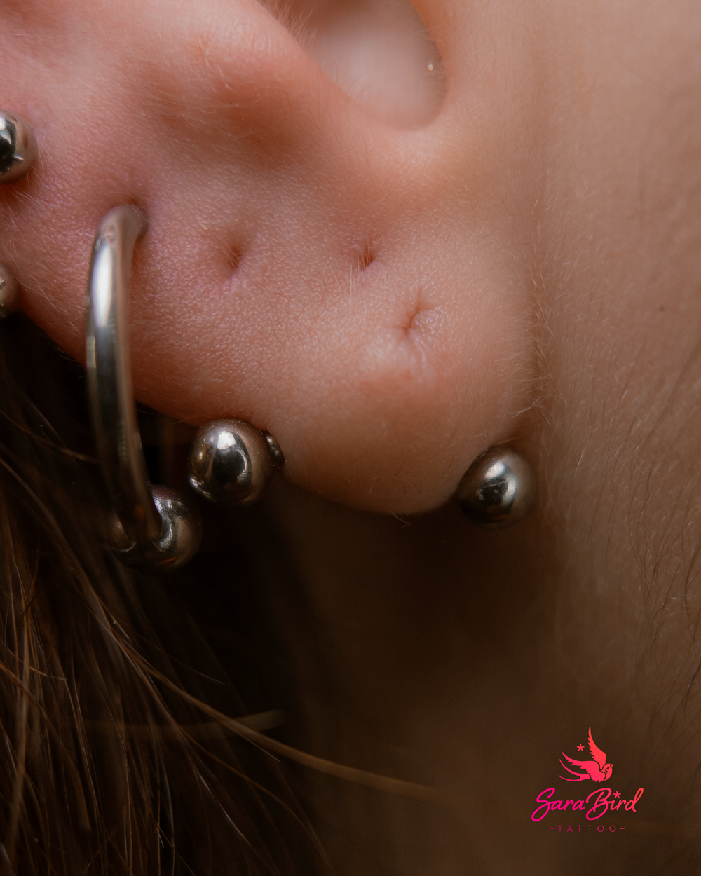 Ear Piercing With Titanium Jewelry - Multiple Zones