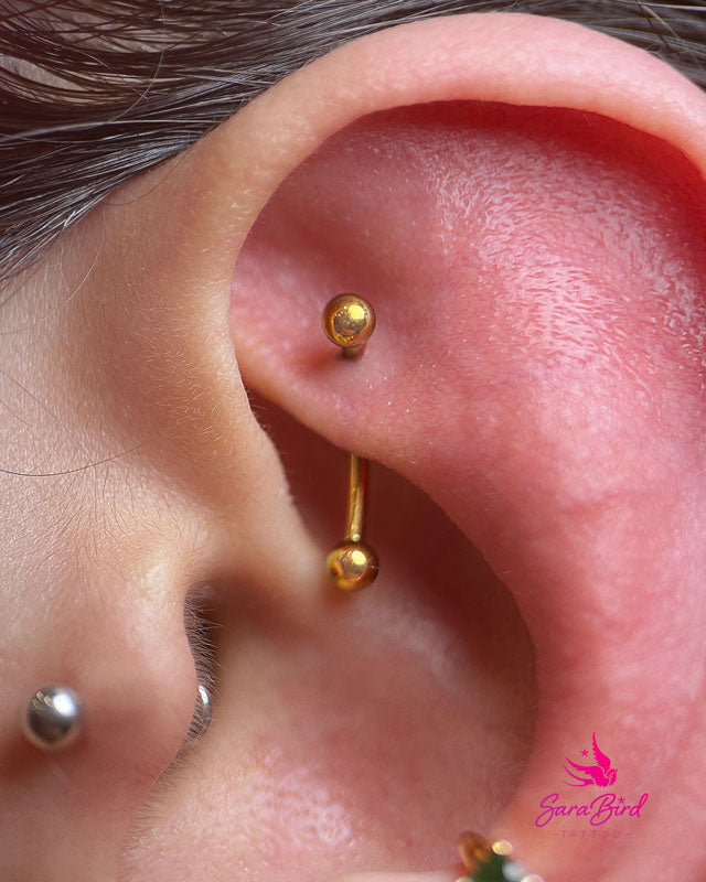 Ear Piercing With Titanium Jewelry - Multiple Zones
