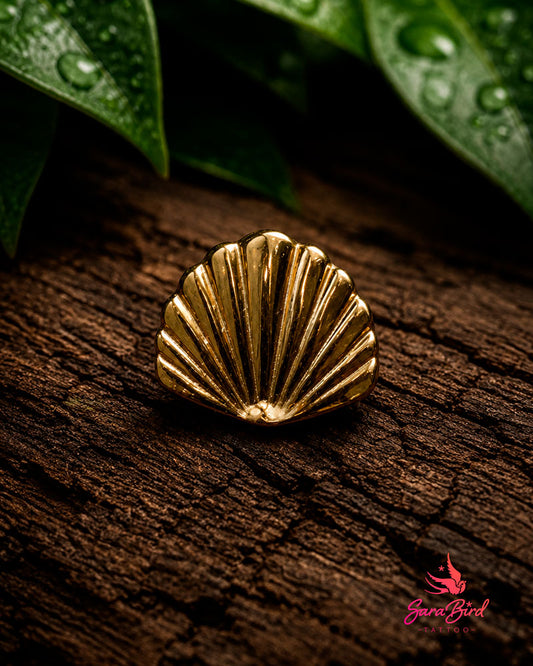 Concha Minimalista em Ouro 14k