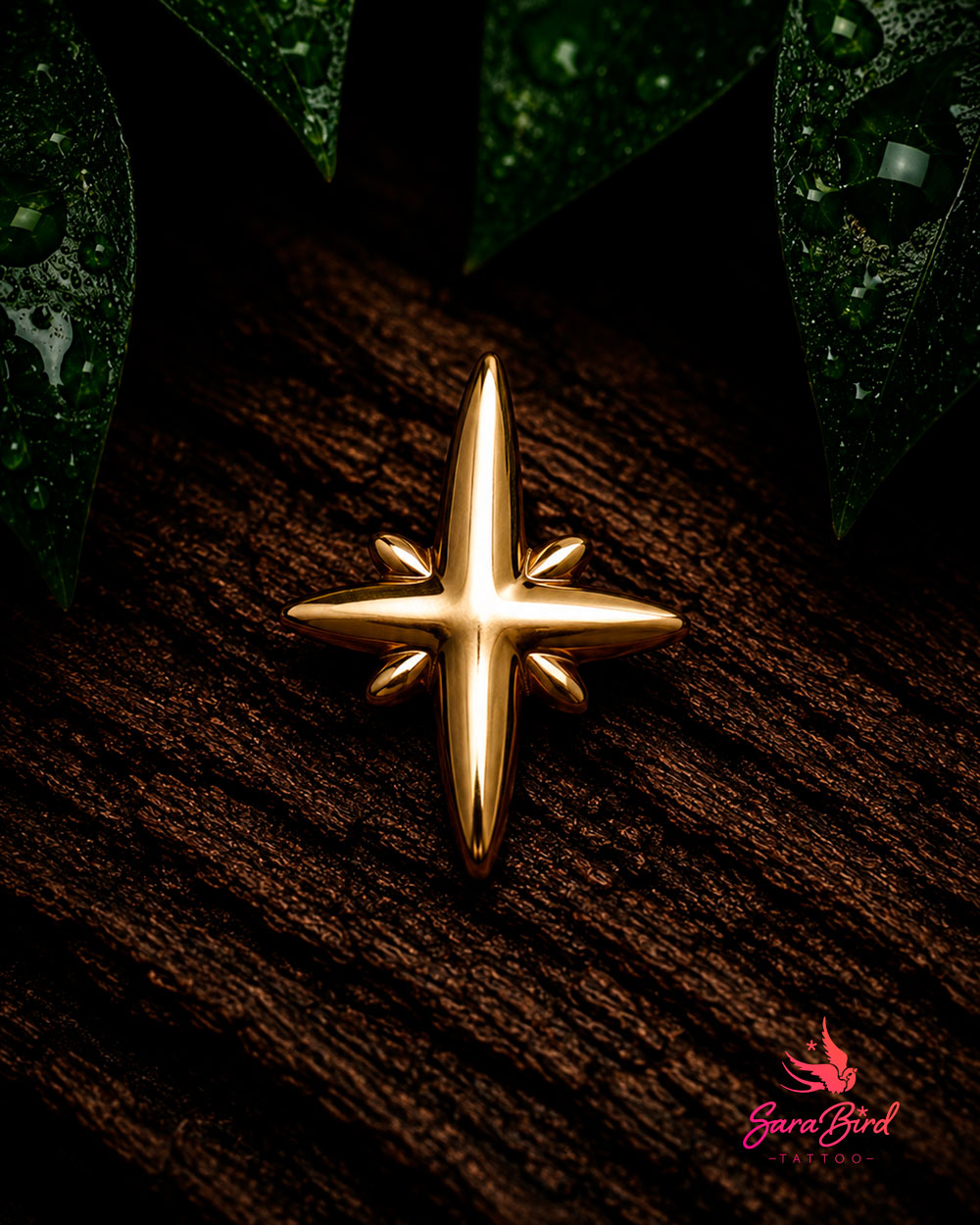 Estrela em Ouro 14k