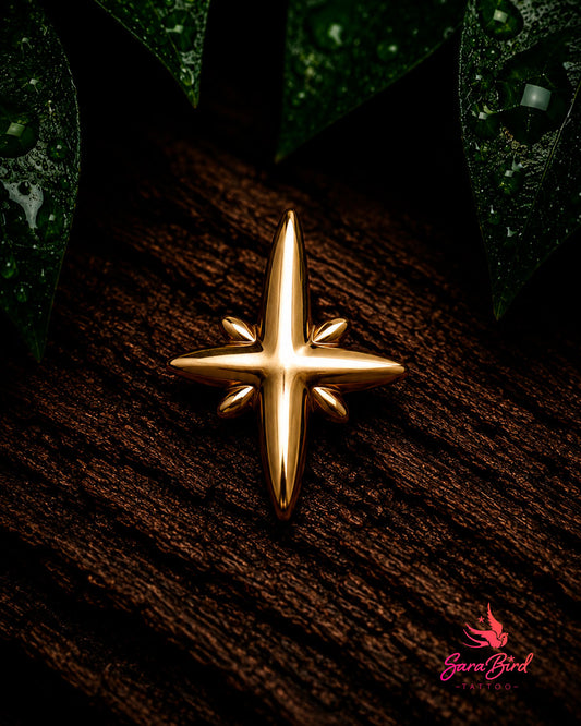 Estrela em Ouro 14k