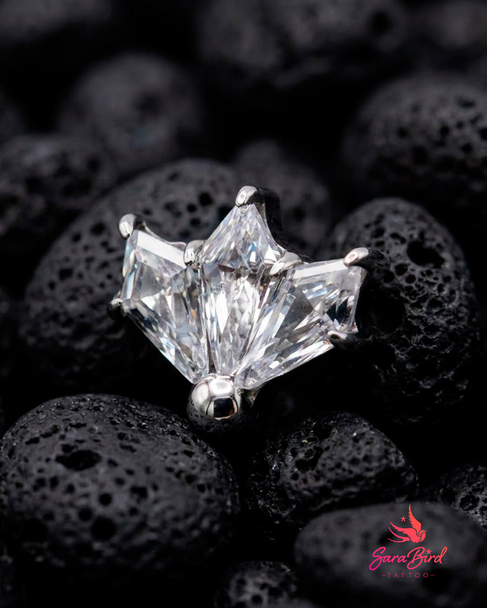 Topo Aiko em Titânio com Zircónias