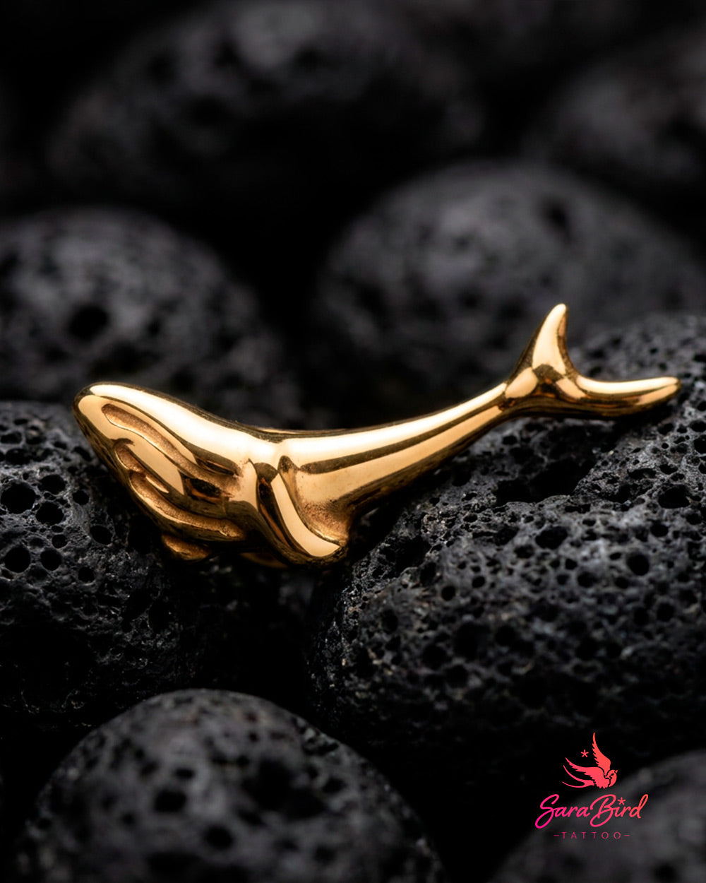Topo Baleia Pelagia em Titânio PVD Gold