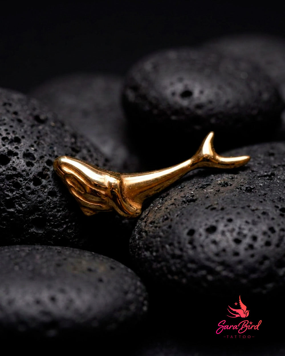 Topo Baleia Pelagia em Titânio PVD Gold
