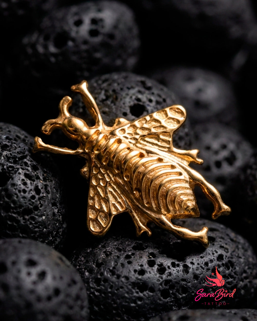 Topo Melis em Titânio PVD Gold