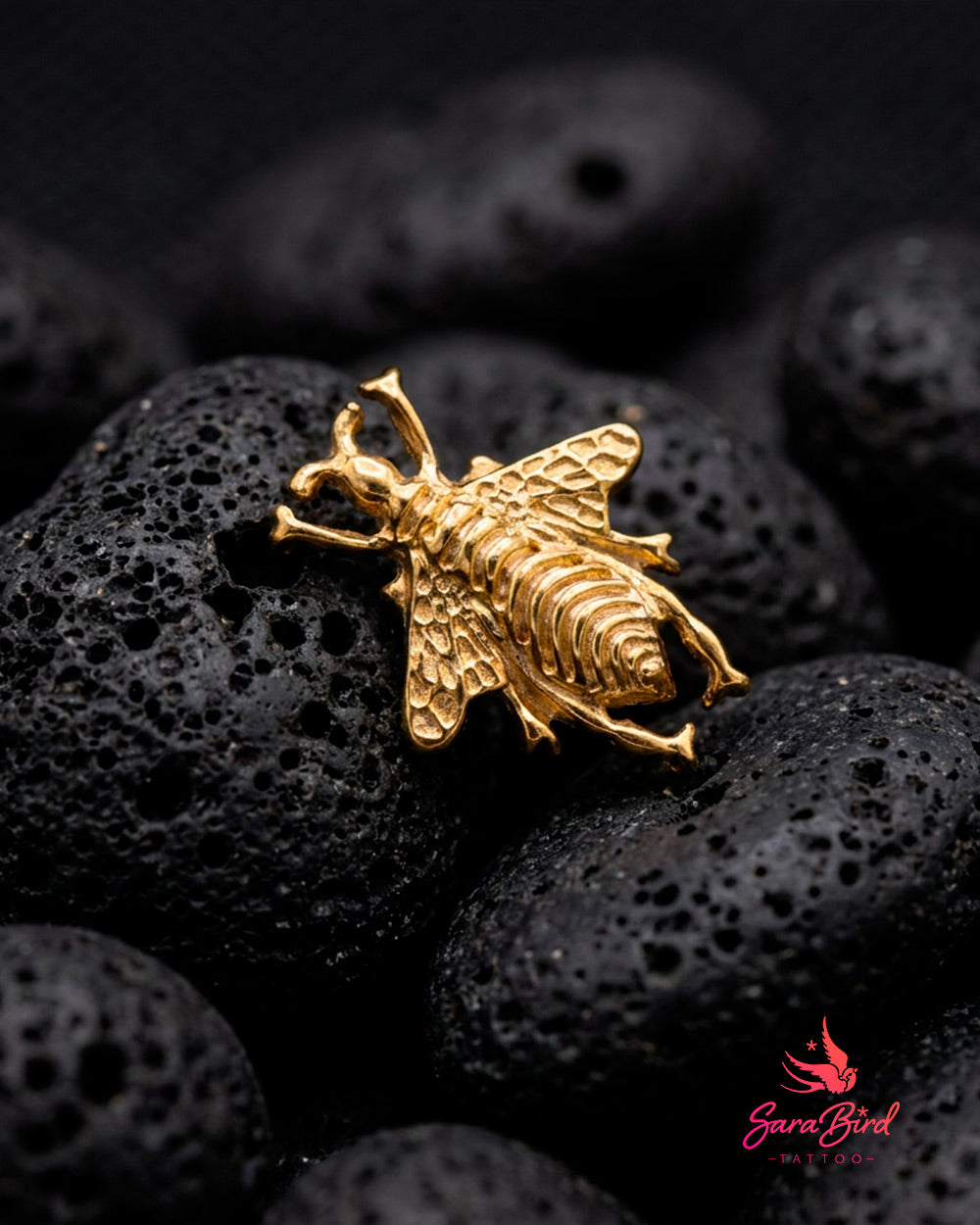 Topo Melis em Titânio PVD Gold