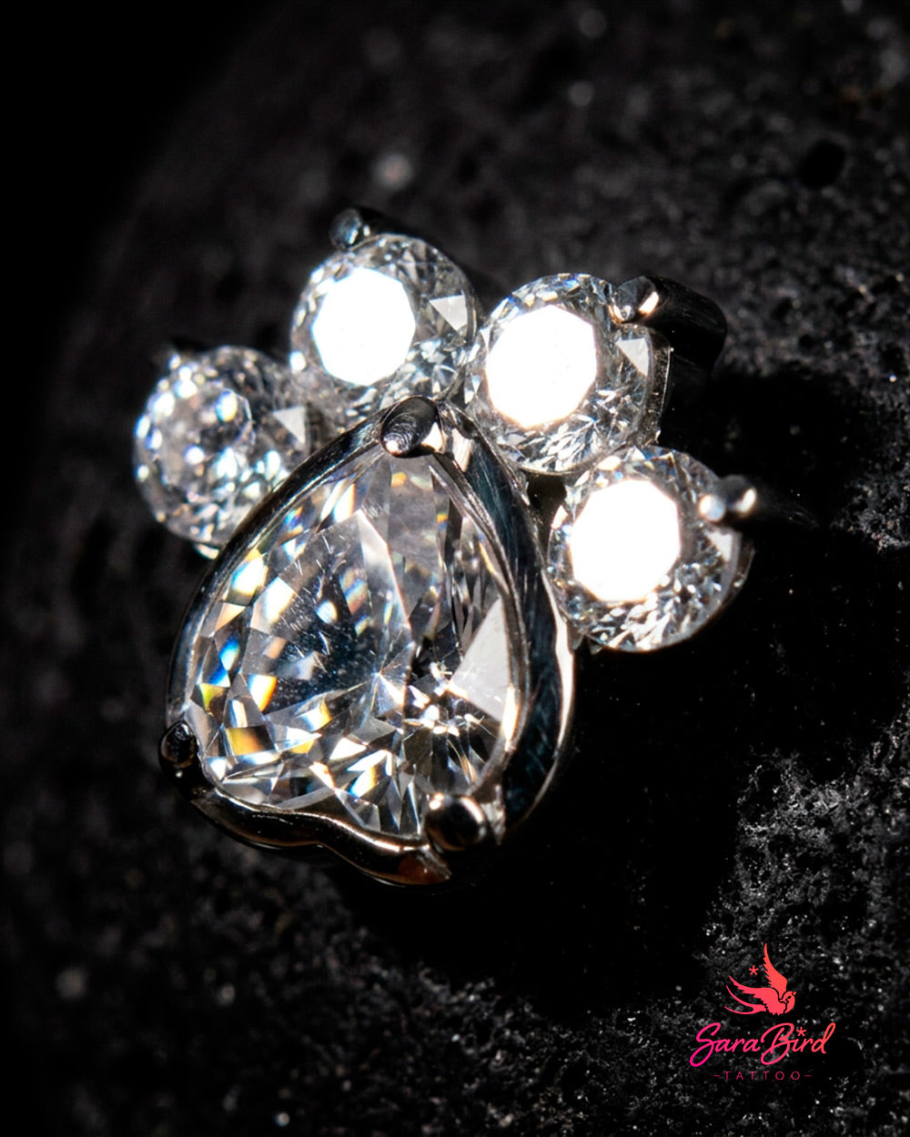 Paw Print | Topo em Titânio com Zircónias