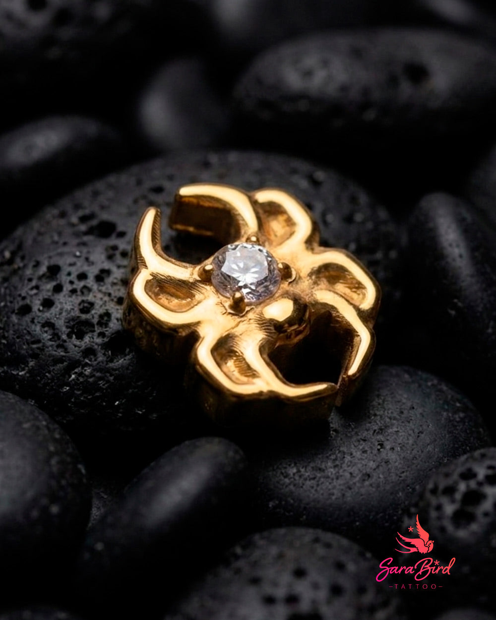 Topo Aranha | Noctis CZ em Titânio PVD Gold