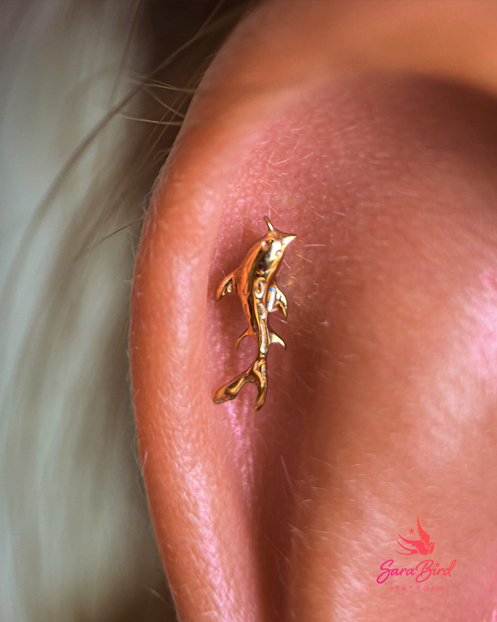 Topo Carpa Koi em Titânio PVD Gold