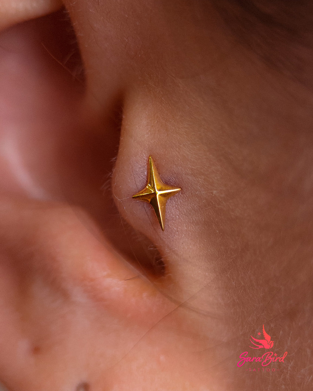 Estrela | Topo de Titânio Zenith PVD Gold
