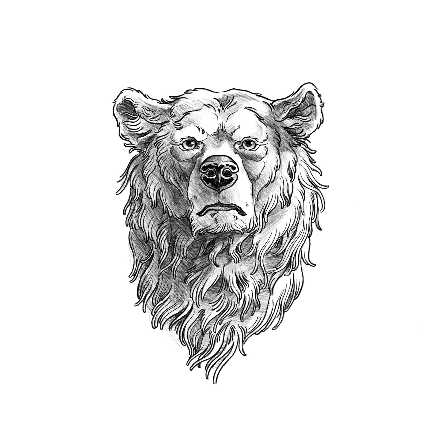 PAGU - Urso - Desenhos prontos para tatuar