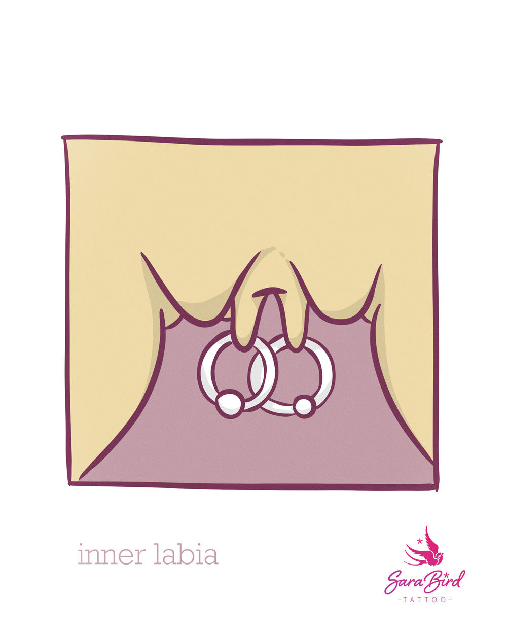 Piercing Genitais - Vulva