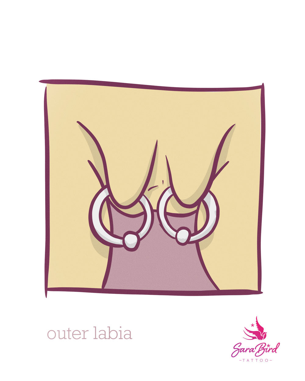 Piercing Genitais - Vulva